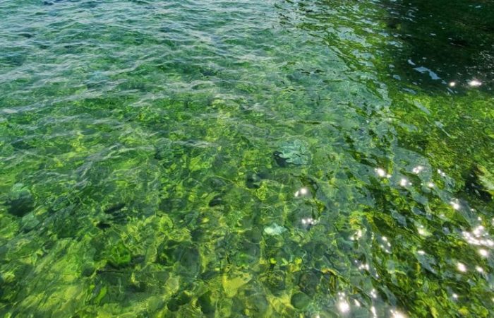 emerald waters